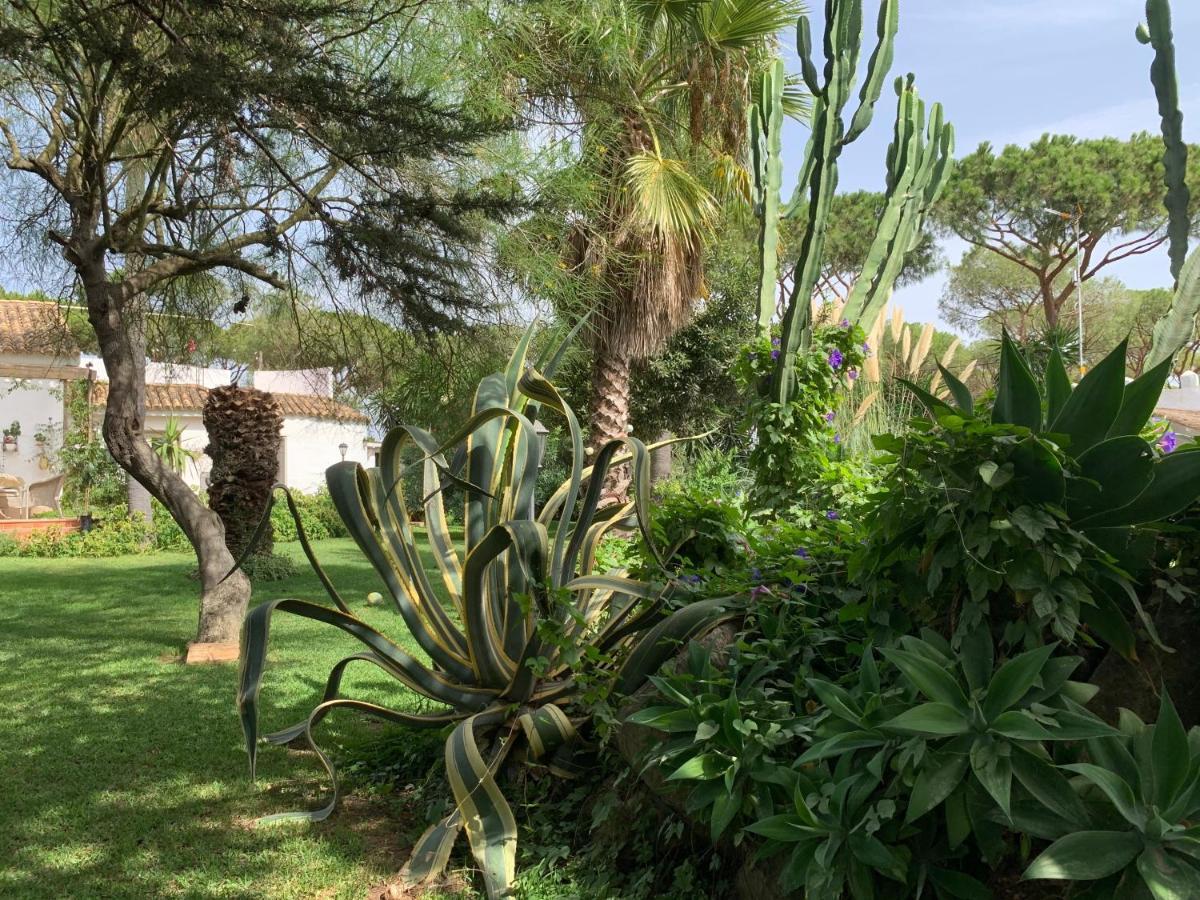 Hotel Finca Filpi à Chiclana de la Frontera Extérieur photo