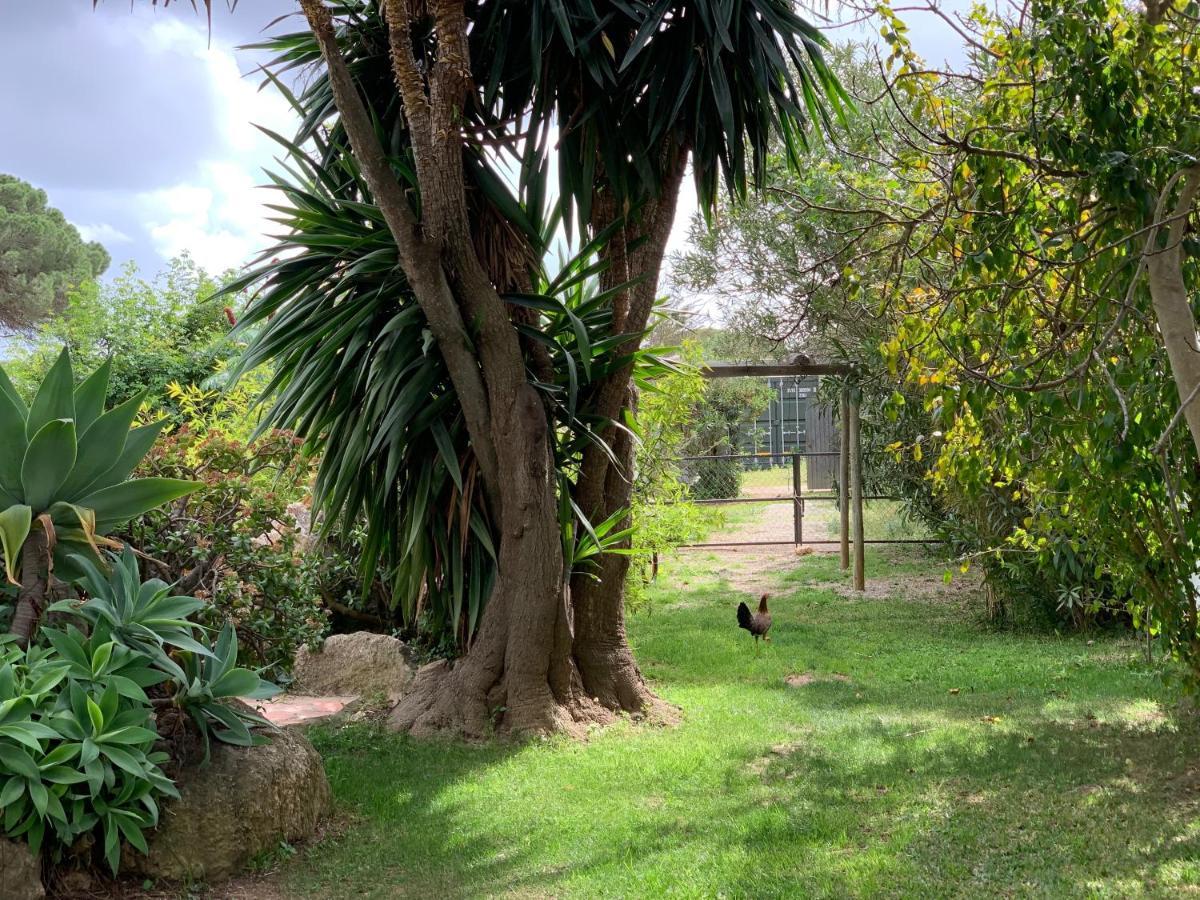 Hotel Finca Filpi à Chiclana de la Frontera Extérieur photo